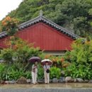 수능엄사 옆 이미지