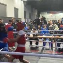 골든보이 복싱짐 이미지