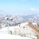 오투리조트