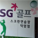 에스지 스크린 골프연습장 | 대덕구골프연습장에서 골프 재미를 만끽할 수 있는 특별한 공간, 에스지골프스크린연습장 소개