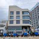 양양 애견동반 카페 산과 바다 뷰 죽도해변 카페 &#34;마할로&#34;