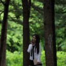 당 사 모 이미지