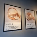 청하 에그린 | [포항 효자동맛집] 효자블룸모던숯불다이닝