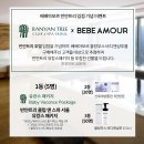 아모르바디 이미지