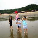 갯벌이야기 이미지