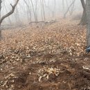 몽산농장 네이버블로그