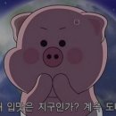 이공막창 이미지