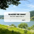 레인카페 - 세종특별자치시 조치원8길 16 | 가평 애견 동반 가능한 뷰 좋은 카페 '리버레인' 내돈내산 추천 후기
