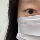 설뷰티 | 피부예민러의 청주 속눈썹펌 설뷰티 후기(오픈이벤트)