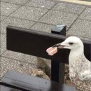 울산골프클럽 이미지