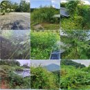 충실 태양광발전소 이미지