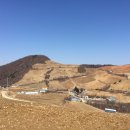 ER-25[호남고속도로]-하-700 | 온난화 탓…백두대간 침엽수림 4년 새 10%나 줄어