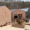 숲속캠핑장 이미지