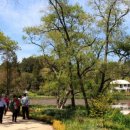 천리포수목원 이미지