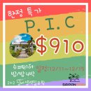 [P.I.C] 12/11~12/15 딱 이날만 이 가격 특가 이미지