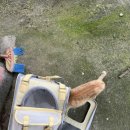 24시 청담우리 동물병원 이미지