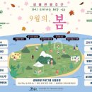 조천리마을기업 이미지