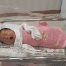 선린자모의원 이미지