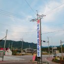 장보는강아지와고양이춘천