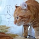 우리카인테리어 이미지