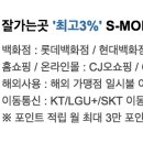S&해외사용일시불