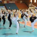 국제태권도 이미지