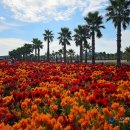 농업기술센터(농업전시관) 이미지