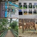 국제꽃식물원 | 서울 아이와 가볼만한곳 서울숲 꽃사슴도 보고 산책하기 좋은 곳