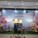 분당경영고 | 분당경영고 졸업식 자이언트플라워 행사포토존 전국설치