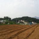 해오름 농장 이미지