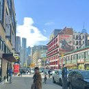 알로뷰(ALO View)유성점 | Day7 in New York (brodo/차이나타운/소호/팝업베이글/자유의 여신상 크루즈/탑뷰 2층버스)