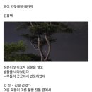 오늘의 小史 이미지