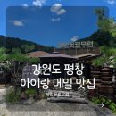메밀꽃필무렵 | 평창 봉평 메밀맛집 메밀꽃필무렵 후기 아이와 점심 먹기 좋은 식당 추천