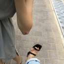 나와바리 이미지
