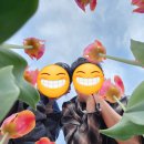 수선화모텔 이미지