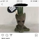 싱글벙글꽃집