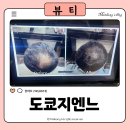 도쿄지엔느 이미지