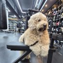 용인대SM복싱클럽 천호역점 이미지