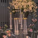 엘이스냅