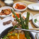 신돈지메