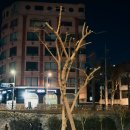 지에스25 고대성북천 | [로케이션 기록] 성북천 보문4교 야간 출사 기록 사진 [니콘 zf]