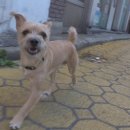 송민호 농장 이미지