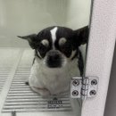 기다리다 이미지