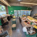 싱싱청과 이미지