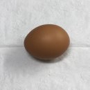 강서활기찬재활의학과의원 | 그리고 갑자기스러운데 12월 취소해도 돼?