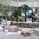 베니키아 월미도 더 블리스 호텔 이미지