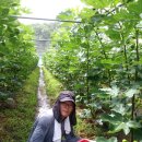 큰골농장 이미지