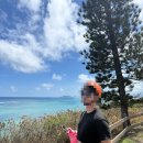 자연 이(e) 래 | 하와이 여행 쿠알로아랜치 전기자전거 E-bike 예약 내돈내산 후기