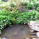 조현리 조현길 이미지