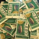 노화해바라기 | [베트남] 국민 간식 차치어 해바라기씨 먹어본 후기